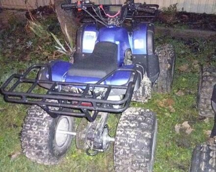 Синий Форте ATV 125, объемом двигателя 0.12 л и пробегом 25 тыс. км за 700 $, фото 2 на Automoto.ua