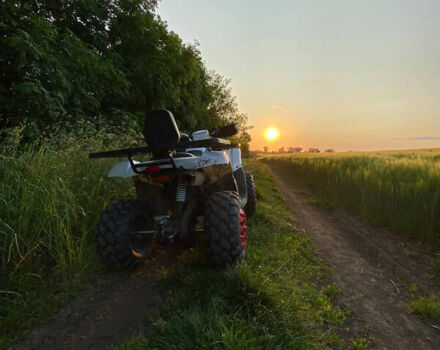 Белый Форте Braves 200, объемом двигателя 0.2 л и пробегом 2 тыс. км за 1500 $, фото 3 на Automoto.ua