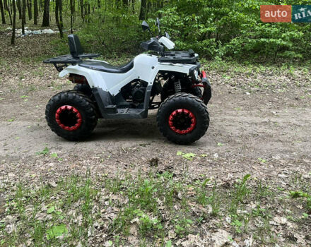 Білий Форте Braves 200, об'ємом двигуна 0 л та пробігом 1 тис. км за 1450 $, фото 4 на Automoto.ua