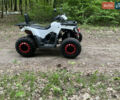 Білий Форте Braves 200, об'ємом двигуна 0 л та пробігом 1 тис. км за 1450 $, фото 4 на Automoto.ua