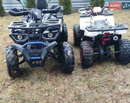 Форте Braves 200, объемом двигателя 0 л и пробегом 1 тыс. км за 1600 $, фото 17 на Automoto.ua