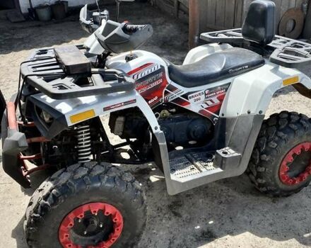 Форте Braves 200, об'ємом двигуна 0 л та пробігом 25 тис. км за 1600 $, фото 2 на Automoto.ua