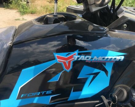 Форте Braves 200, объемом двигателя 0.18 л и пробегом 0 тыс. км за 2200 $, фото 6 на Automoto.ua