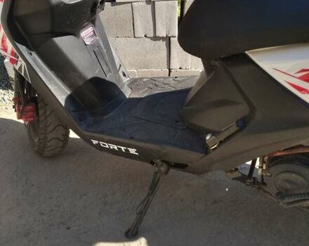 Білий Форте BWS-R, об'ємом двигуна 0 л та пробігом 1 тис. км за 772 $, фото 3 на Automoto.ua