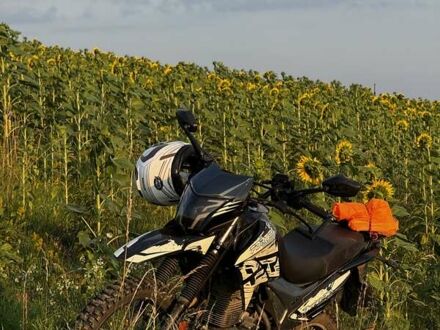 Форте Cross 300 2023 в Тлумаче на Automoto.ua Черный Форте Cross 300, объемом двигателя 0.25 л и пробегом 2 тыс. км за 990 $, фото 1 на Automoto.ua