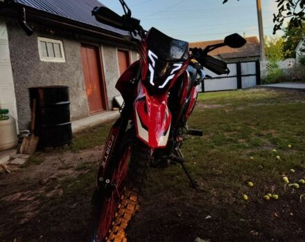 Форте Cross 300, объемом двигателя 0.25 л и пробегом 0 тыс. км за 1100 $, фото 3 на Automoto.ua