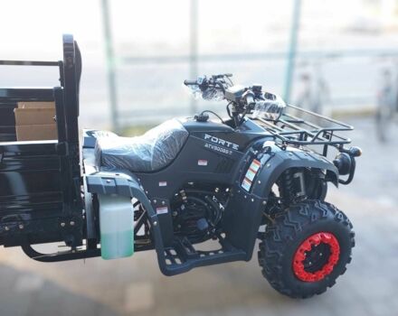 Форте Інша, об'ємом двигуна 0.3 л та пробігом 0 тис. км за 4300 $, фото 11 на Automoto.ua