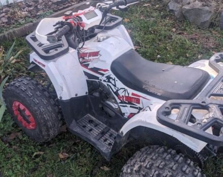 Форте Другая 2021 в Житомире на Automoto.ua Форте Другая, объемом двигателя 0.13 л и пробегом 0 тыс. км за 800 $, фото 2 на Automoto.ua