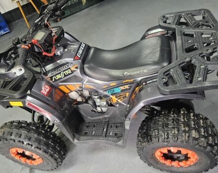 Форте Другая, объемом двигателя 0.13 л и пробегом 0 тыс. км за 709 $, фото 4 на Automoto.ua