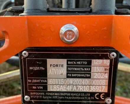 Форте Другая 2024 в Турийск на Automoto.ua Форте Другая, объемом двигателя 0.13 л и пробегом 0 тыс. км за 1265 $, фото 1 на Automoto.ua