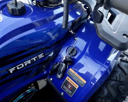 Форте Другая 2025 в Стрые на Automoto.ua Форте Другая, объемом двигателя 0.13 л и пробегом 0 тыс. км за 1200 $, фото 21 на Automoto.ua
