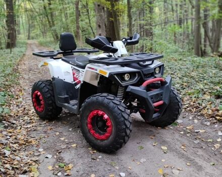 Форте Другая 2020 в Лубнах на Automoto.ua Форте Другая, объемом двигателя 0.2 л и пробегом 0 тыс. км за 1270 $, фото 4 на Automoto.ua