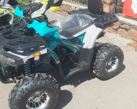 Форте Другая, объемом двигателя 0.13 л и пробегом 0 тыс. км за 833 $, фото 3 на Automoto.ua