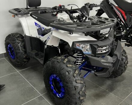 Форте Інша, об'ємом двигуна 0.13 л та пробігом 0 тис. км за 1250 $, фото 12 на Automoto.ua