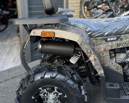 Форте Другая, объемом двигателя 0.25 л и пробегом 0 тыс. км за 2845 $, фото 4 на Automoto.ua