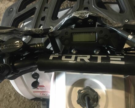 Форте Другая, объемом двигателя 0.13 л и пробегом 0 тыс. км за 1150 $, фото 2 на Automoto.ua