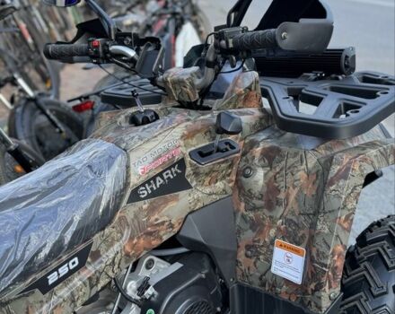 Форте Другая, объемом двигателя 0.25 л и пробегом 0 тыс. км за 2845 $, фото 6 на Automoto.ua