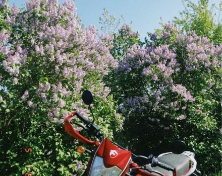 Форте Другая, объемом двигателя 0.2 л и пробегом 0 тыс. км за 975 $, фото 2 на Automoto.ua