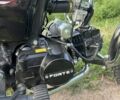 Форте Інша, об'ємом двигуна 0.13 л та пробігом 0 тис. км за 592 $, фото 6 на Automoto.ua