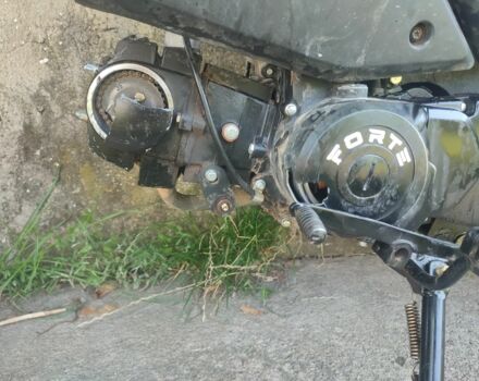 Форте Інша, об'ємом двигуна 0.12 л та пробігом 0 тис. км за 242 $, фото 8 на Automoto.ua