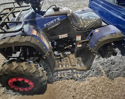 Форте Інша, об'ємом двигуна 0.3 л та пробігом 0 тис. км за 4400 $, фото 5 на Automoto.ua