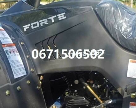Форте Інша, об'ємом двигуна 2.3 л та пробігом 0 тис. км за 4400 $, фото 16 на Automoto.ua