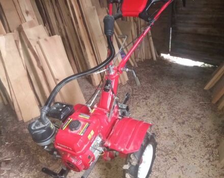 Форте Другая 2024 в Сумах на Automoto.ua Форте Другая, объемом двигателя 0.6 л и пробегом 5 тыс. км за 393 $, фото 4 на Automoto.ua