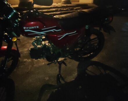 Форте Другая, объемом двигателя 0.11 л и пробегом 0 тыс. км за 358 $, фото 20 на Automoto.ua