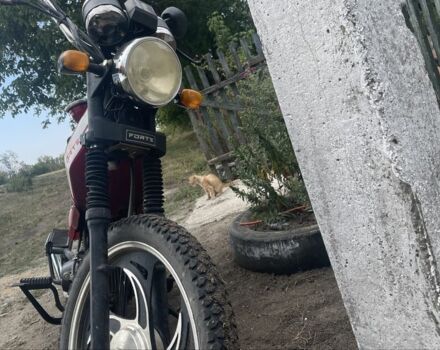 Форте Другая, объемом двигателя 0.11 л и пробегом 0 тыс. км за 308 $, фото 3 на Automoto.ua