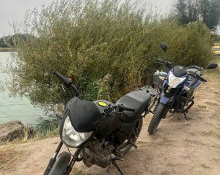 Форте Другая 2023 в Виннице на Automoto.ua Форте Другая, объемом двигателя 0.15 л и пробегом 0 тыс. км за 455 $, фото 3 на Automoto.ua