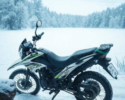 Форте Інша, об'ємом двигуна 0.25 л та пробігом 0 тис. км за 643 $, фото 2 на Automoto.ua