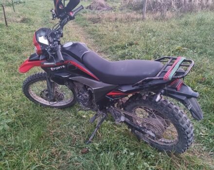 Форте Другая, объемом двигателя 0.3 л и пробегом 0 тыс. км за 1168 $, фото 4 на Automoto.ua