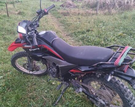 Форте Другая, объемом двигателя 0.3 л и пробегом 0 тыс. км за 1168 $, фото 2 на Automoto.ua