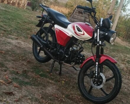 Форте Другая, объемом двигателя 0.12 л и пробегом 0 тыс. км за 357 $, фото 4 на Automoto.ua