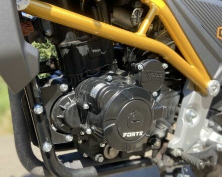 Форте Другая 2020 в Киеве на Automoto.ua Форте Другая, объемом двигателя 0.3 л и пробегом 0 тыс. км за 1700 $, фото 8 на Automoto.ua