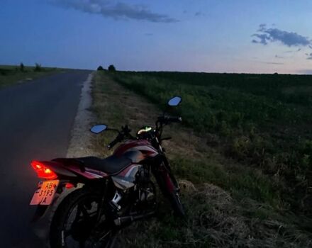 Форте Другая, объемом двигателя 0.2 л и пробегом 0 тыс. км за 795 $, фото 2 на Automoto.ua