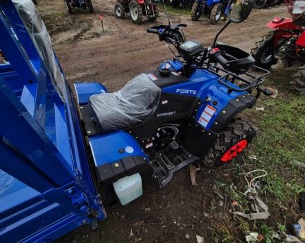 Форте Інша, об'ємом двигуна 0.28 л та пробігом 0 тис. км за 4250 $, фото 2 на Automoto.ua