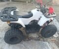 Форте Другая, объемом двигателя 0.13 л и пробегом 0 тыс. км за 750 $, фото 2 на Automoto.ua