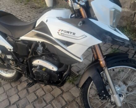Форте Інша, об'ємом двигуна 0.3 л та пробігом 0 тис. км за 1350 $, фото 6 на Automoto.ua
