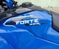 Форте Другая, объемом двигателя 0.3 л и пробегом 0 тыс. км за 4150 $, фото 7 на Automoto.ua