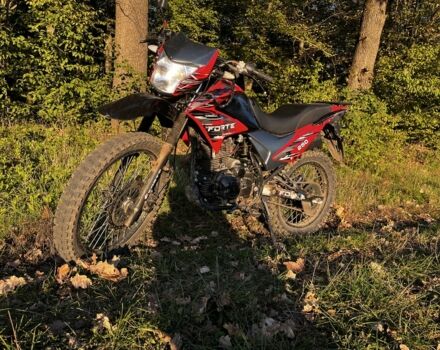 Форте Інша, об'ємом двигуна 0.25 л та пробігом 0 тис. км за 959 $, фото 3 на Automoto.ua