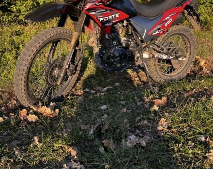 Форте Інша, об'ємом двигуна 0.25 л та пробігом 0 тис. км за 959 $, фото 4 на Automoto.ua