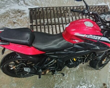 Форте Інша, об'ємом двигуна 0.3 л та пробігом 0 тис. км за 1180 $, фото 11 на Automoto.ua