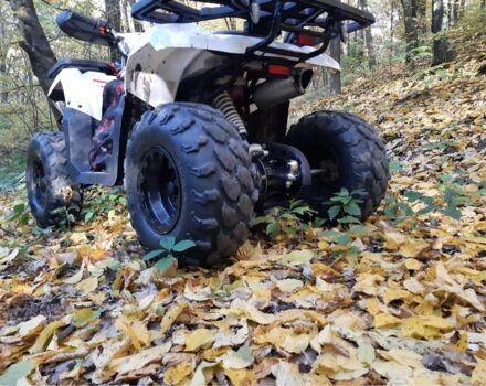 Форте Інша, об'ємом двигуна 0.2 л та пробігом 0 тис. км за 1800 $, фото 4 на Automoto.ua