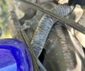 Форте Інша, об'ємом двигуна 0.13 л та пробігом 0 тис. км за 485 $, фото 5 на Automoto.ua