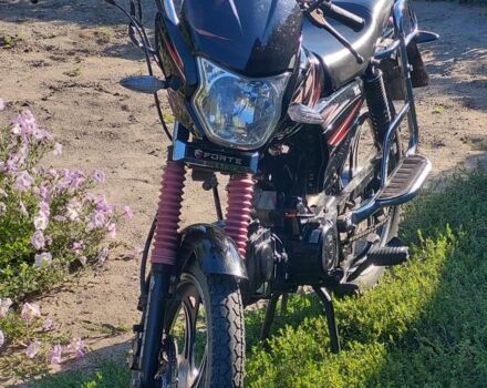 Форте Другая, объемом двигателя 0.12 л и пробегом 0 тыс. км за 476 $, фото 1 на Automoto.ua