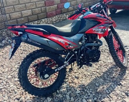 Форте Інша, об'ємом двигуна 0.25 л та пробігом 0 тис. км за 1370 $, фото 3 на Automoto.ua