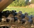 Форте Другая, объемом двигателя 0.25 л и пробегом 0 тыс. км за 1300 $, фото 6 на Automoto.ua