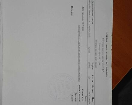 Форте Інша, об'ємом двигуна 0.13 л та пробігом 0 тис. км за 32000 $, фото 4 на Automoto.ua