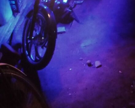 Форте Інша, об'ємом двигуна 0.13 л та пробігом 0 тис. км за 456 $, фото 4 на Automoto.ua